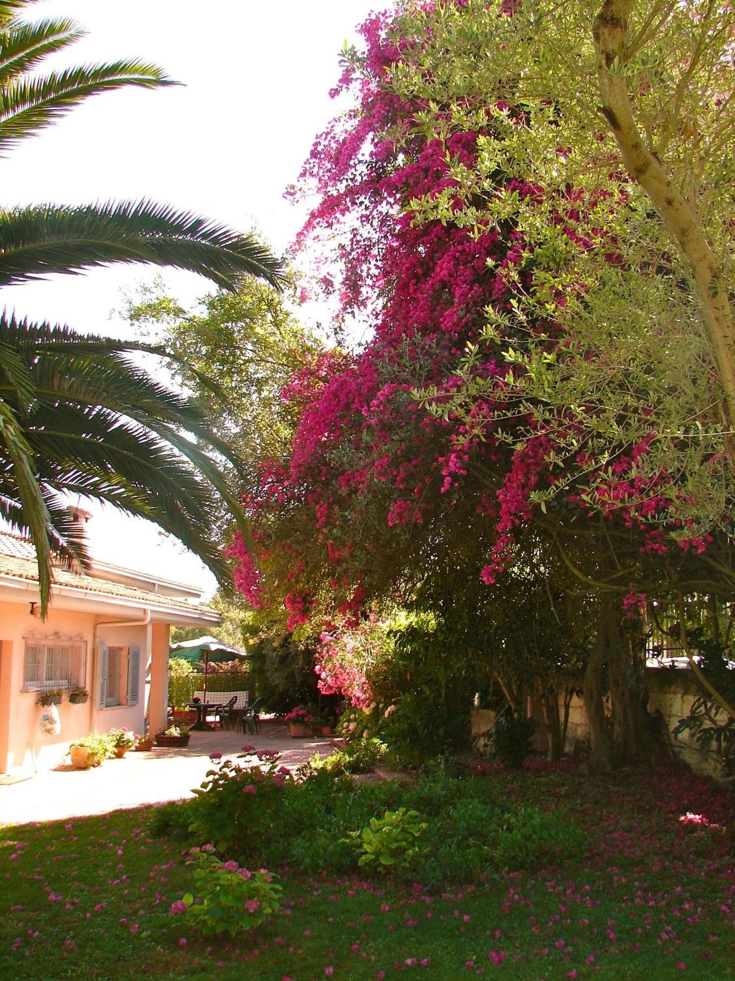 Parco Delle Valli Sassari Exterior photo