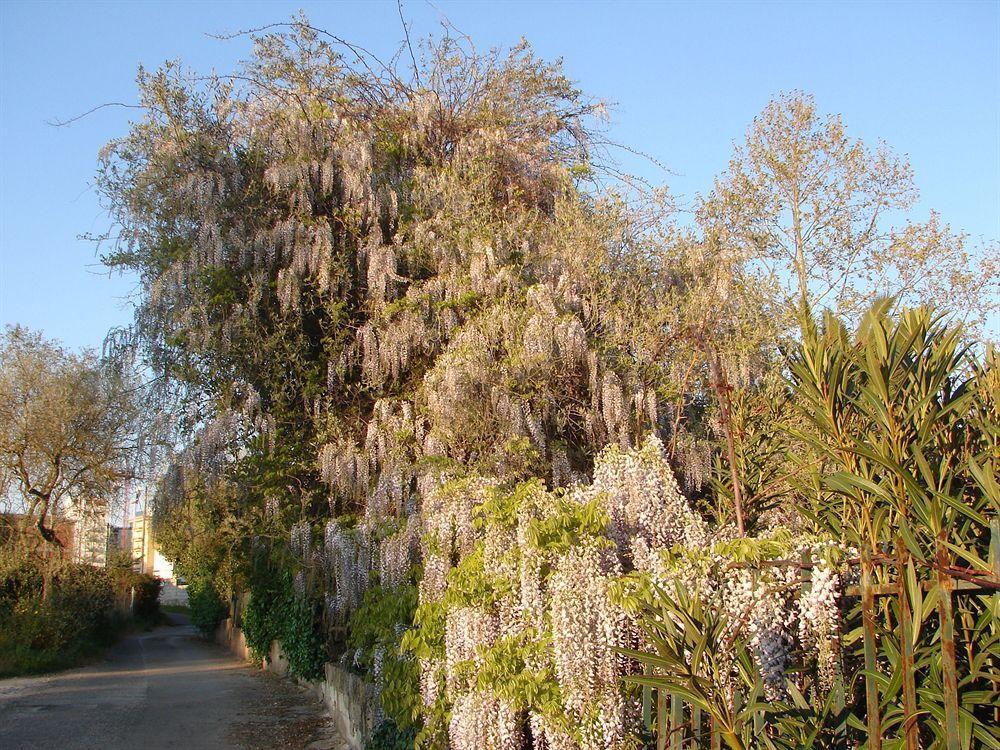 Parco Delle Valli Sassari Exterior photo